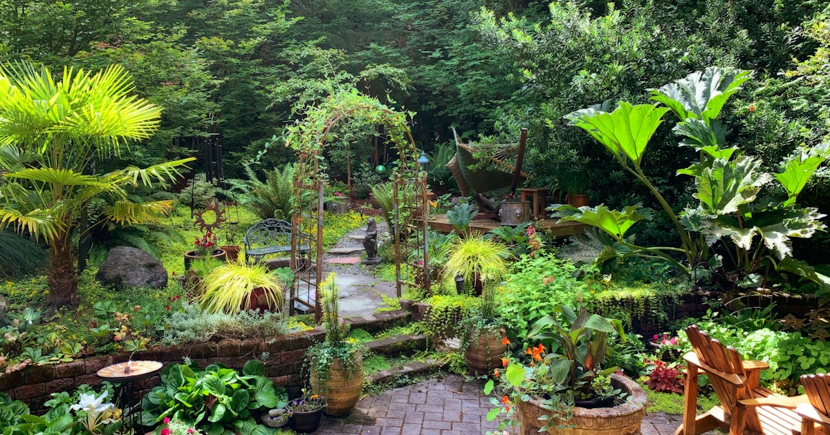 Beautiful professionally landscaped garden with lush green plants and stone pathway