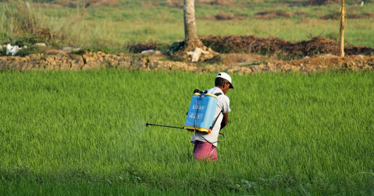 Pest control professional with backpack sprayer treating outdoor area