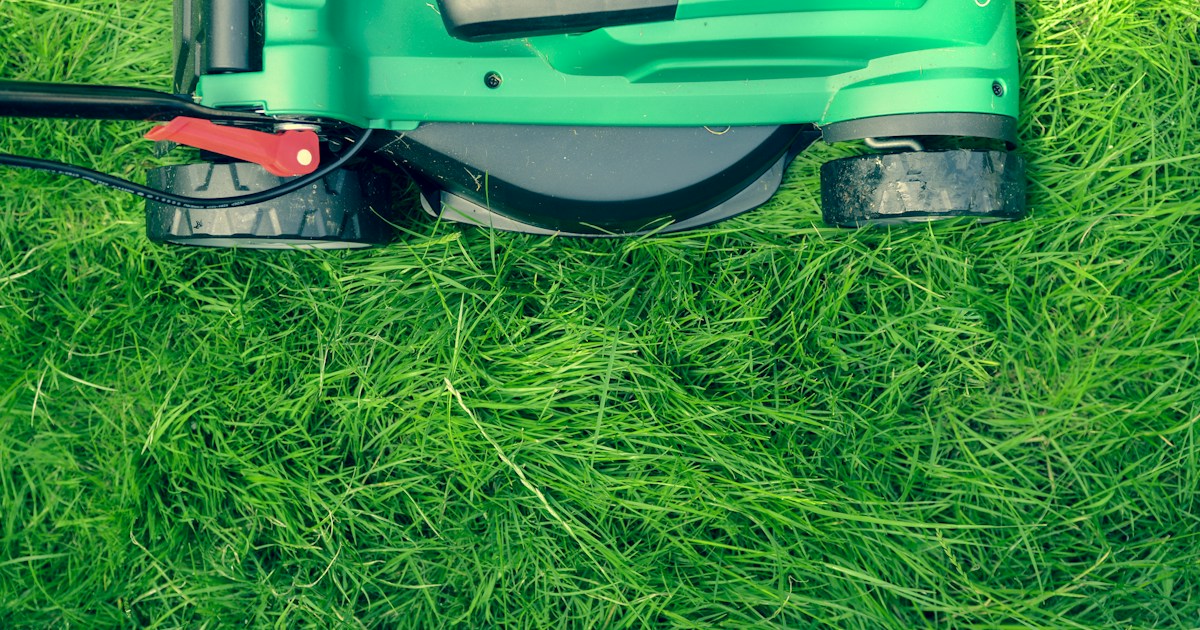 How to Start a Landscaping Business in 2026: From Zero to Fully Booked